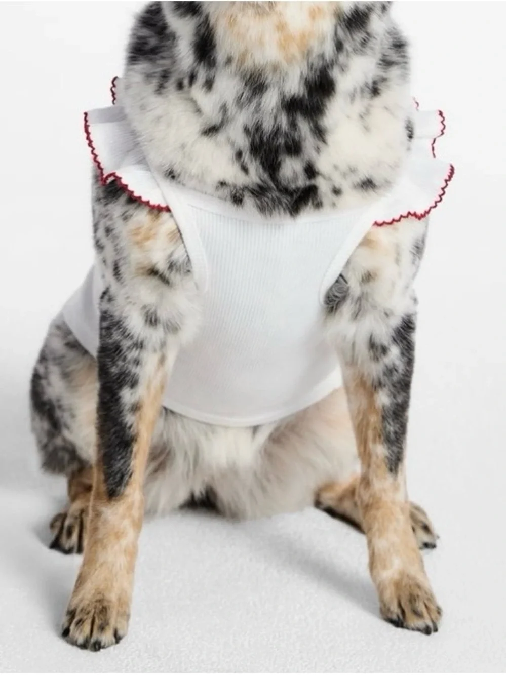 Kacey Lee Pet Tee for Cats and Dogs, Large